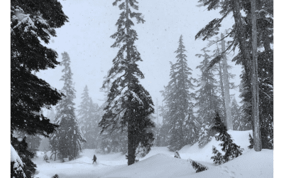Our Top Spots on the Sunshine Coast for Winter Adventures