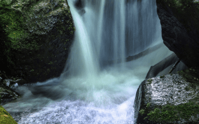 5 Waterfalls on the Sunshine Coast
