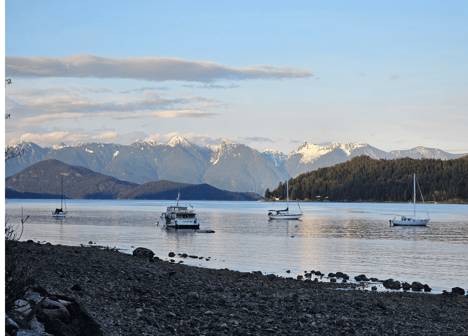 Soak Up the Season: Must-See Events on the Sunshine Coast
